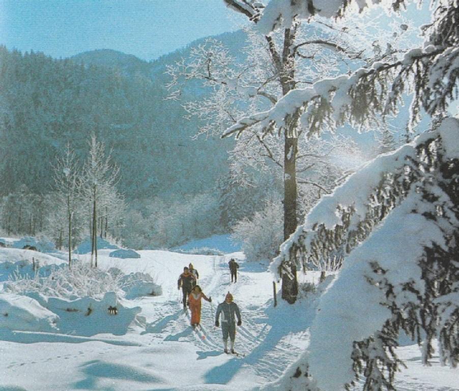 Fewo Schlosspark Grubhof Sankt Martin bei Lofer Εξωτερικό φωτογραφία